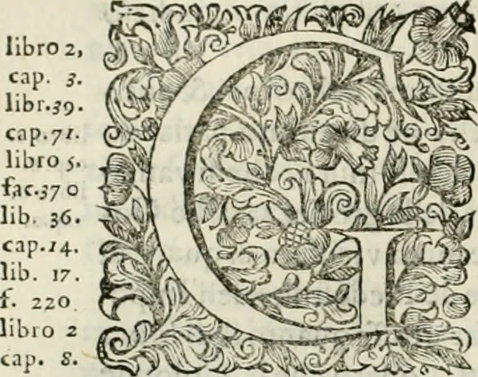 An illustration from Dell'idea della architettura universale, 1714, leaf 727