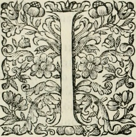 An illustration from Dell'idea della architettura universale, 1714, leaf 737