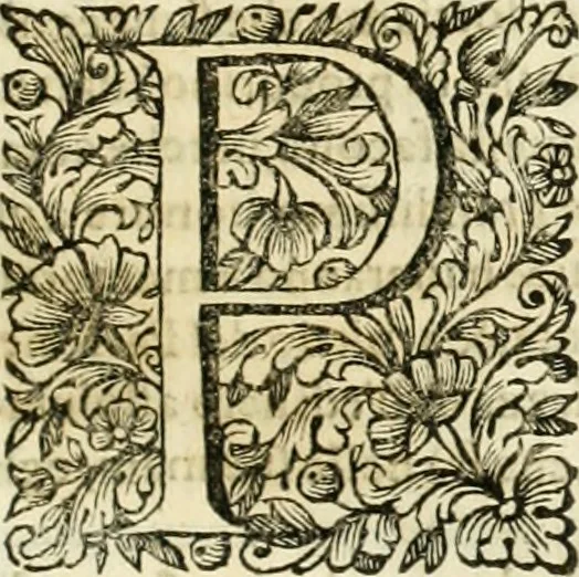 An illustration from Dell'idea della architettura universale, 1714, leaf 74