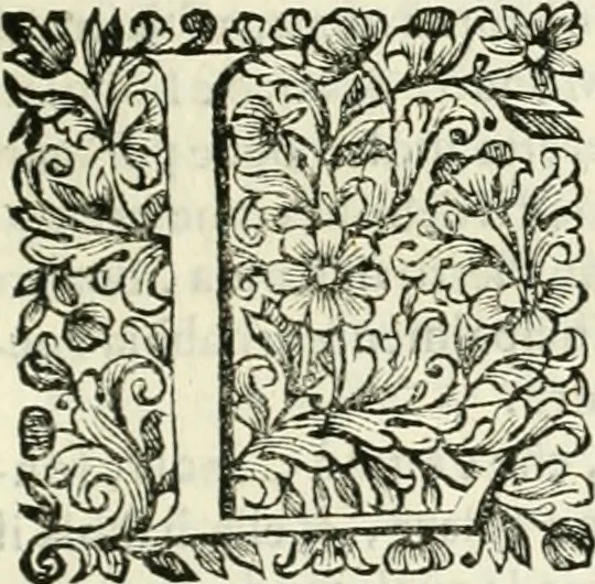 An illustration from Dell'idea della architettura universale, 1714, leaf 740