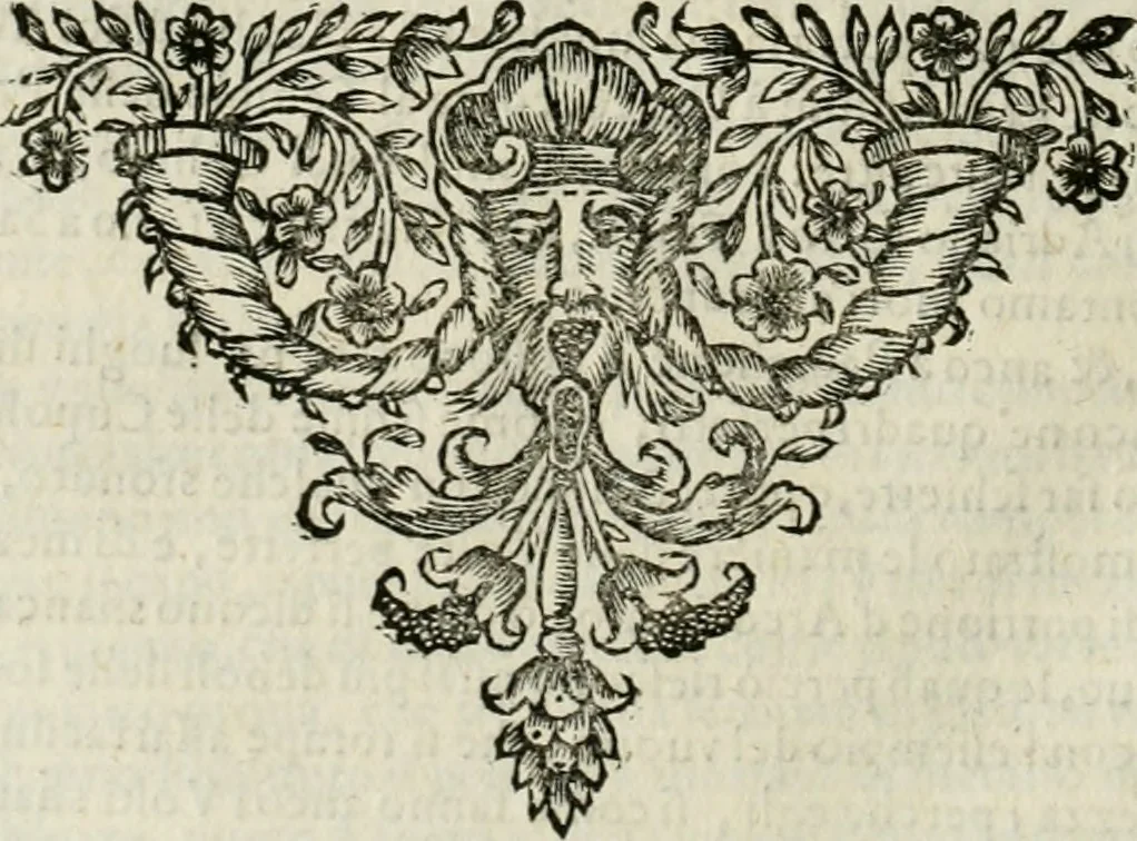 An illustration from Dell'idea della architettura universale, 1714, leaf 743