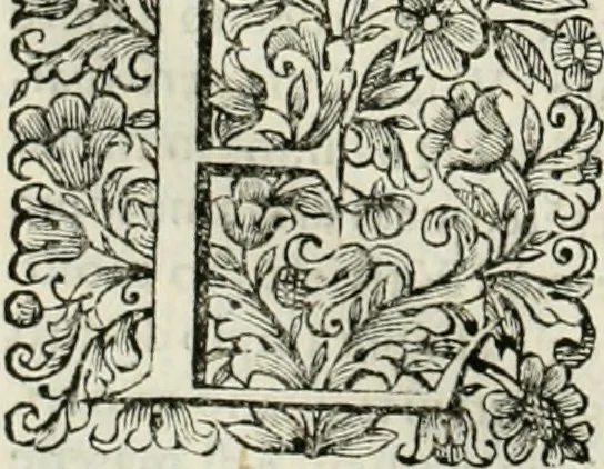An illustration from Dell'idea della architettura universale, 1714, leaf 751