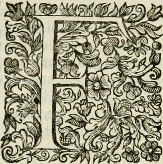 An illustration from Dell'idea della architettura universale, 1714, leaf 753