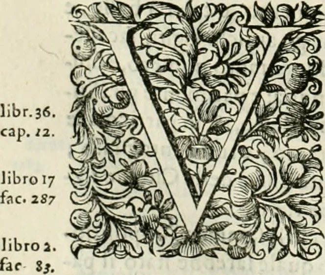 An illustration from Dell'idea della architettura universale, 1714, leaf 759