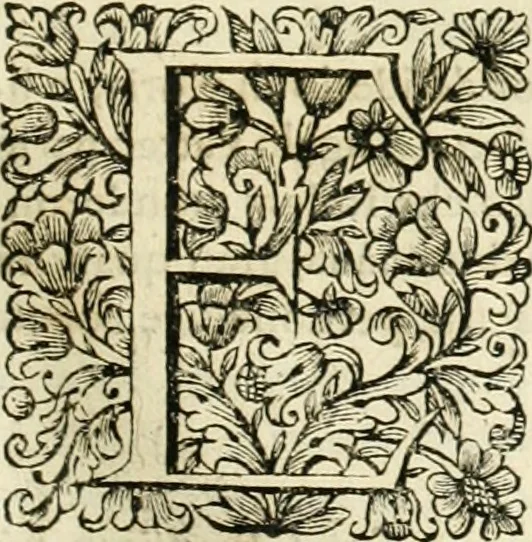 An illustration from Dell'idea della architettura universale, 1714, leaf 76