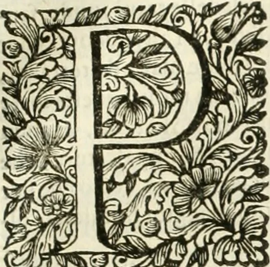 An illustration from Dell'idea della architettura universale, 1714, leaf 762