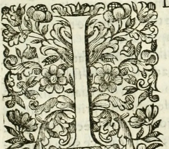 An illustration from Dell'idea della architettura universale, 1714, leaf 764