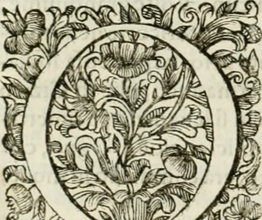 An illustration from Dell'idea della architettura universale, 1714, leaf 767