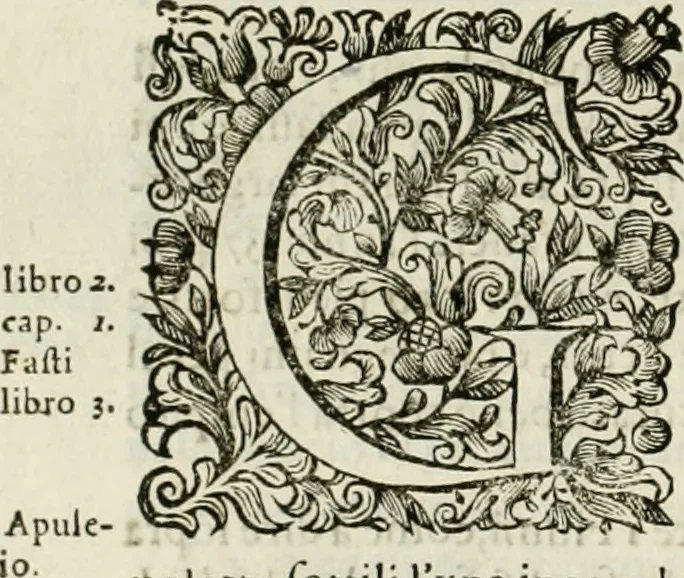 An illustration from Dell'idea della architettura universale, 1714, leaf 773