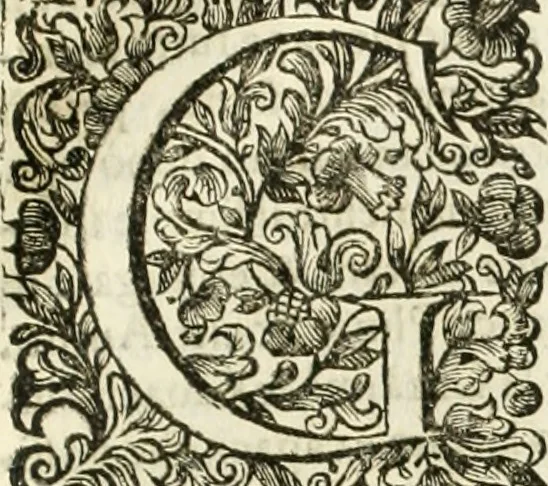 An illustration from Dell'idea della architettura universale, 1714, leaf 776