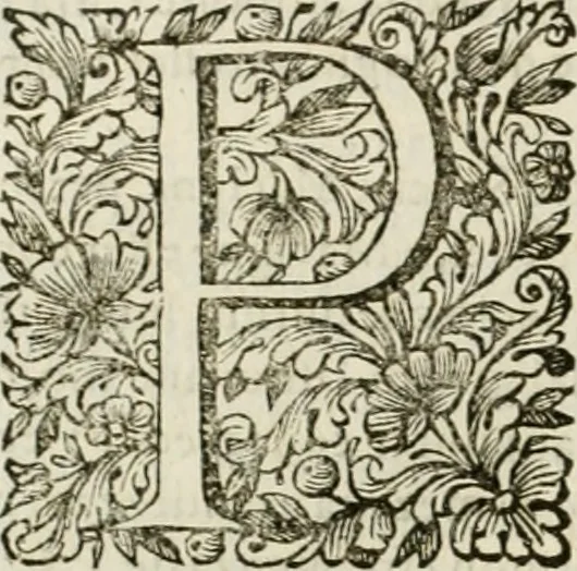 An illustration from Dell'idea della architettura universale, 1714, leaf 781
