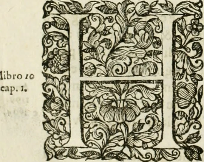 An illustration from Dell'idea della architettura universale, 1714, leaf 783
