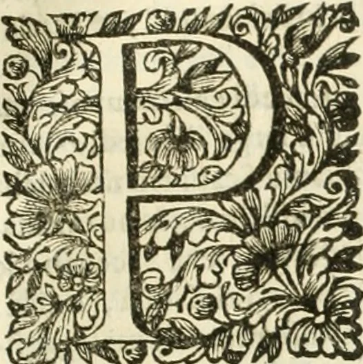 An illustration from Dell'idea della architettura universale, 1714, leaf 786