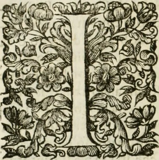 An illustration from Dell'idea della architettura universale, 1714, leaf 789