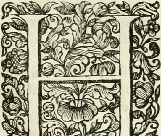 An illustration from Dell'idea della architettura universale, 1714, leaf 80