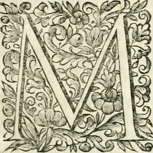 An illustration from Dell'idea della architettura universale, 1714, leaf 94