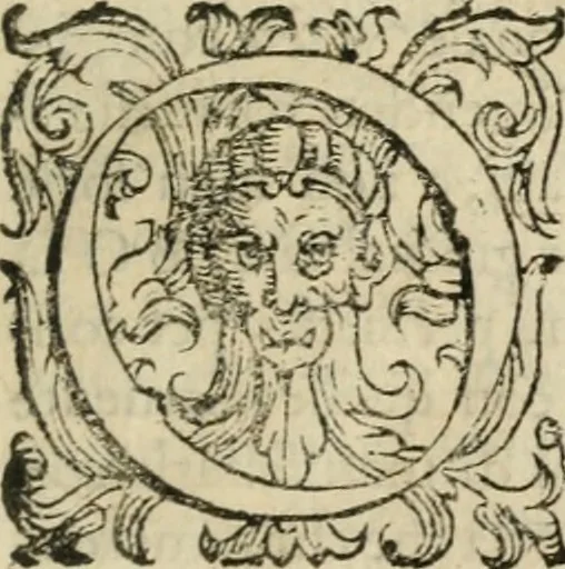 An illustration from Dell'imprese, 1594, leaf 14