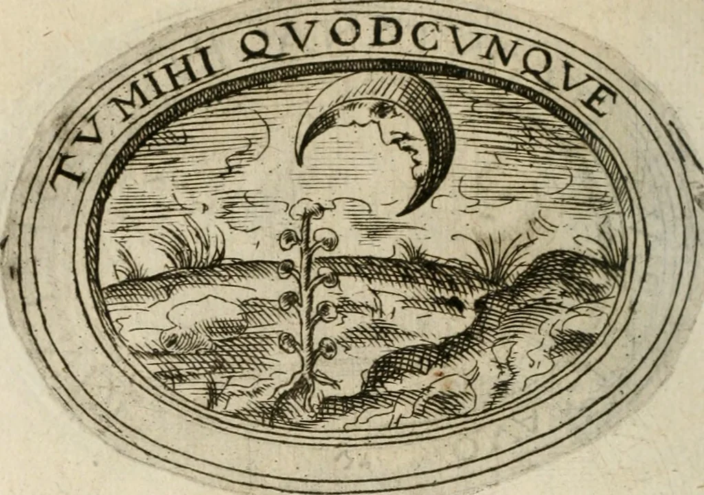 An illustration from Dell'imprese, 1594, leaf 199