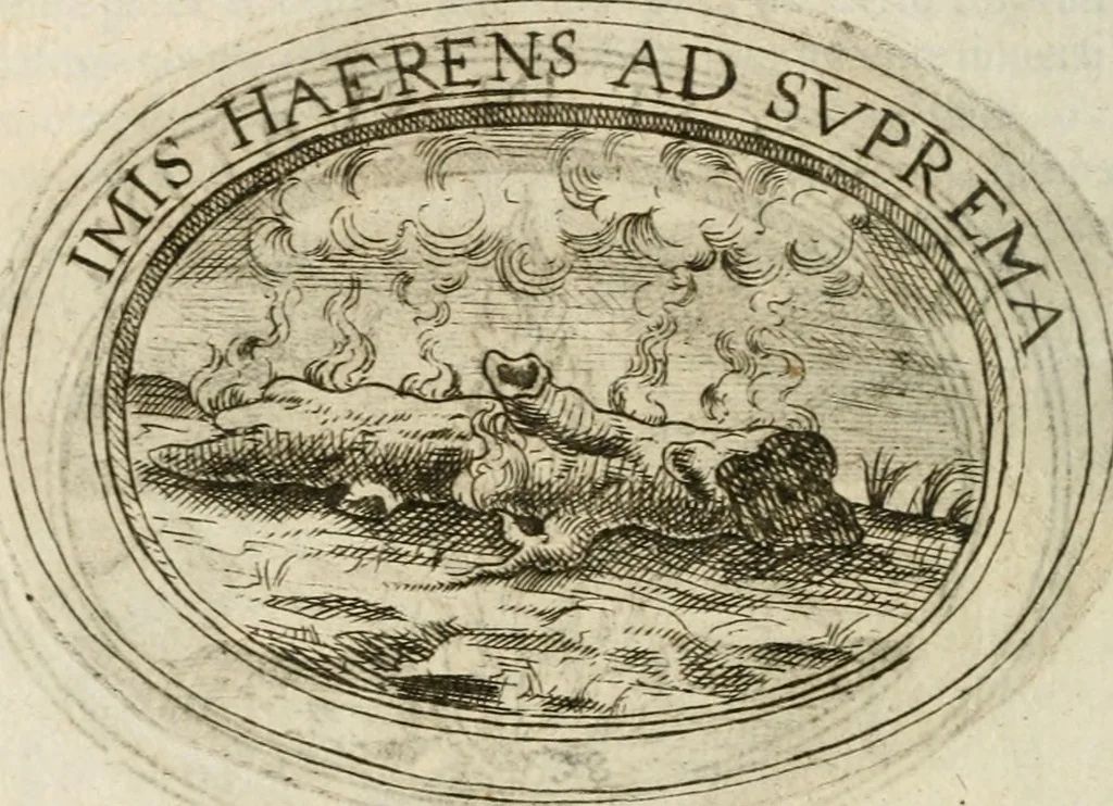 An illustration from Dell'imprese, 1594, leaf 203