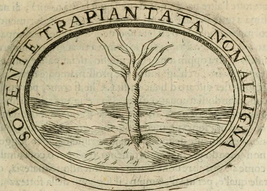 An illustration from Dell'imprese, 1594, leaf 206