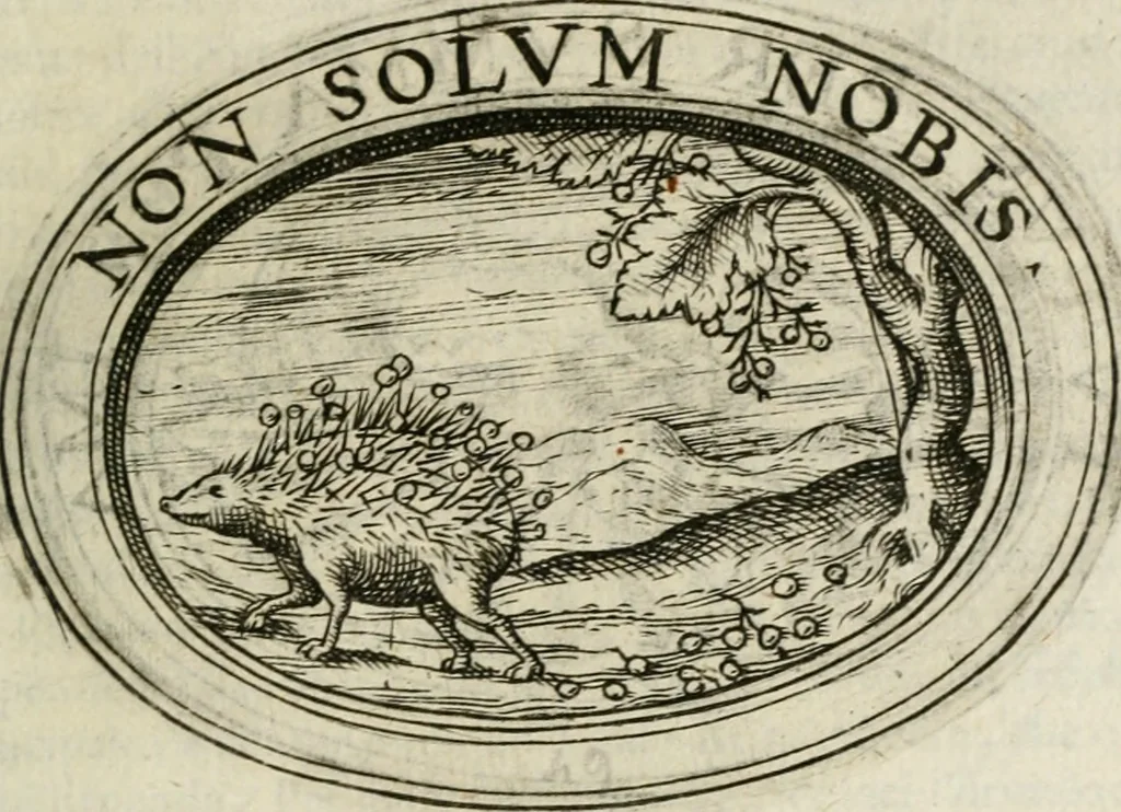 An illustration from Dell'imprese, 1594, leaf 220