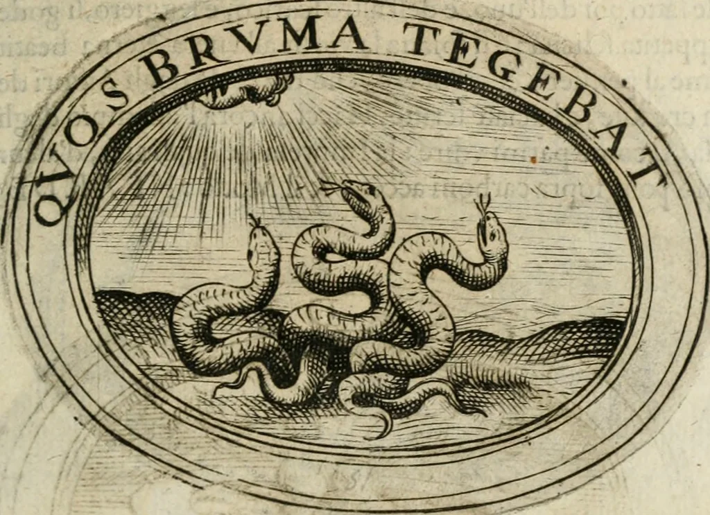 An illustration from Dell'imprese, 1594, leaf 224