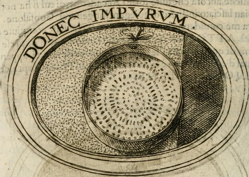 An illustration from Dell'imprese, 1594, leaf 227