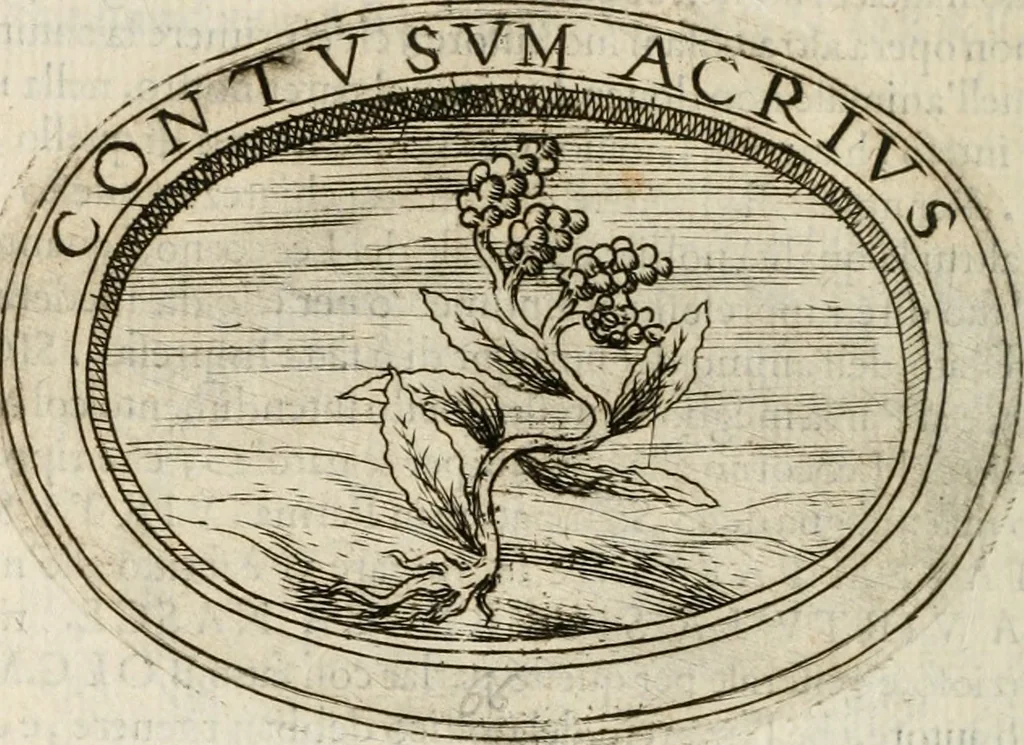 An illustration from Dell'imprese, 1594, leaf 279