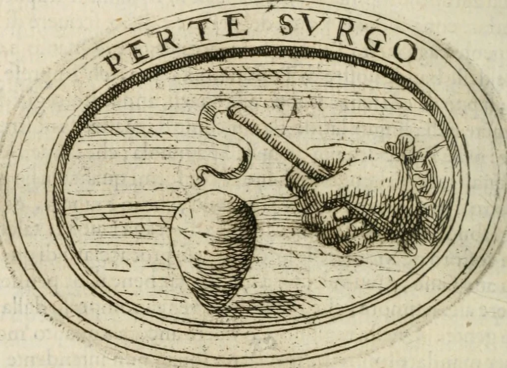 An illustration from Dell'imprese, 1594, leaf 293