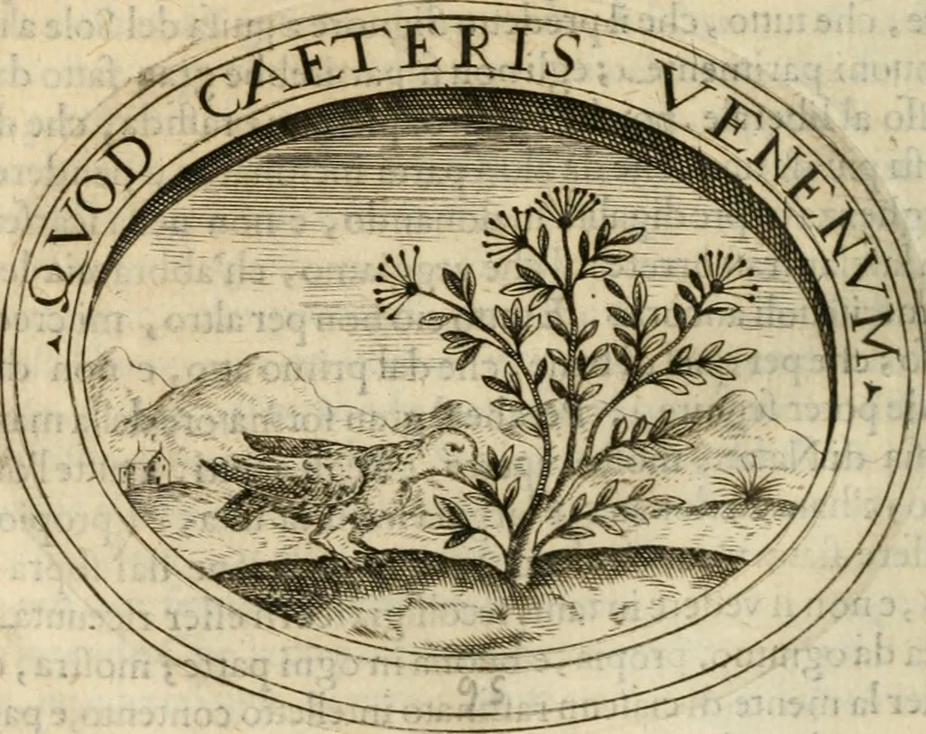 An illustration from Dell'imprese, 1594, leaf 413