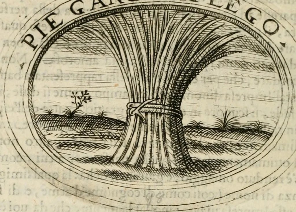 An illustration from Dell'imprese, 1594, leaf 427