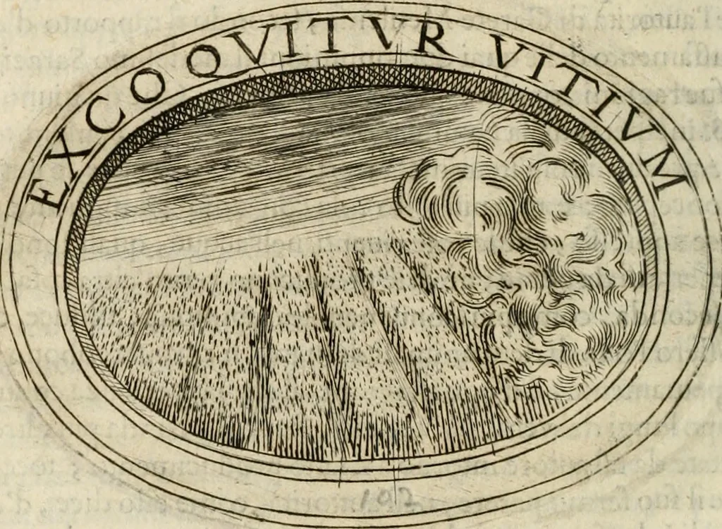 An illustration from Dell'imprese, 1594, leaf 441