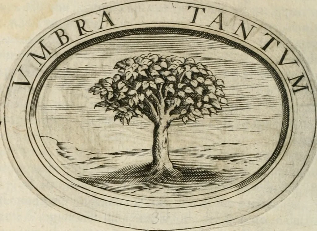 An illustration from Dell'imprese, 1594, leaf 45