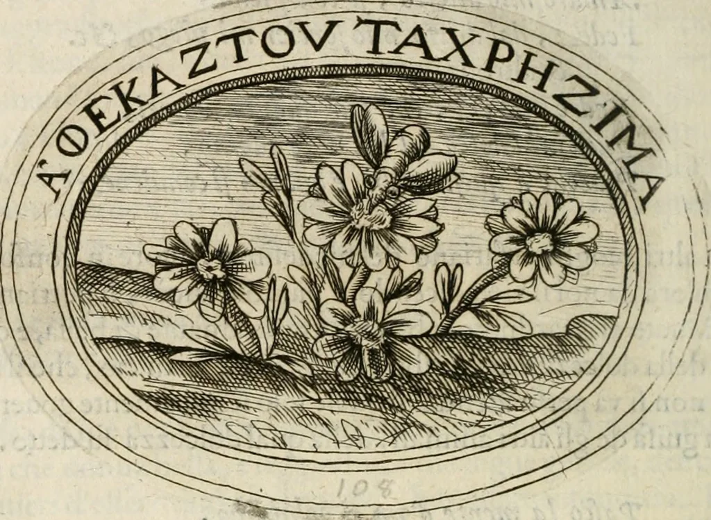 An illustration from Dell'imprese, 1594, leaf 467