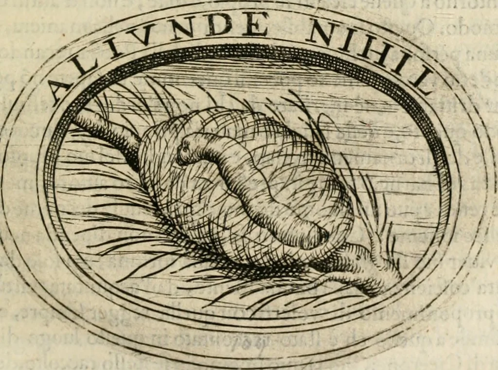 An illustration from Dell'imprese, 1594, leaf 470