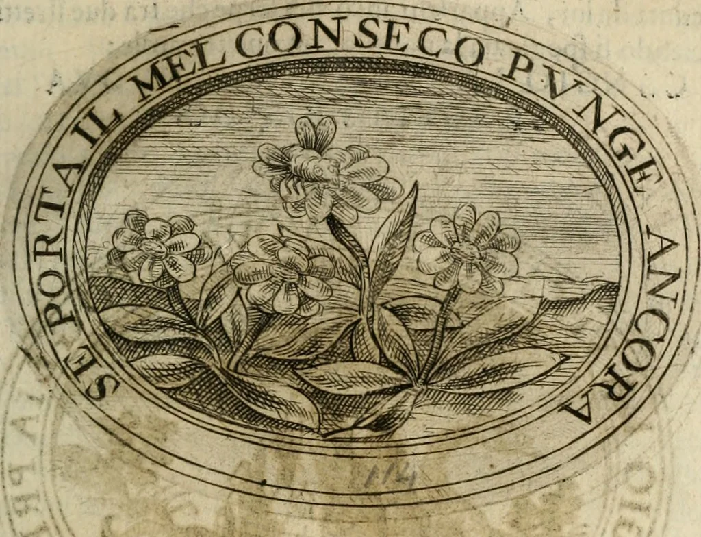 An illustration from Dell'imprese, 1594, leaf 494