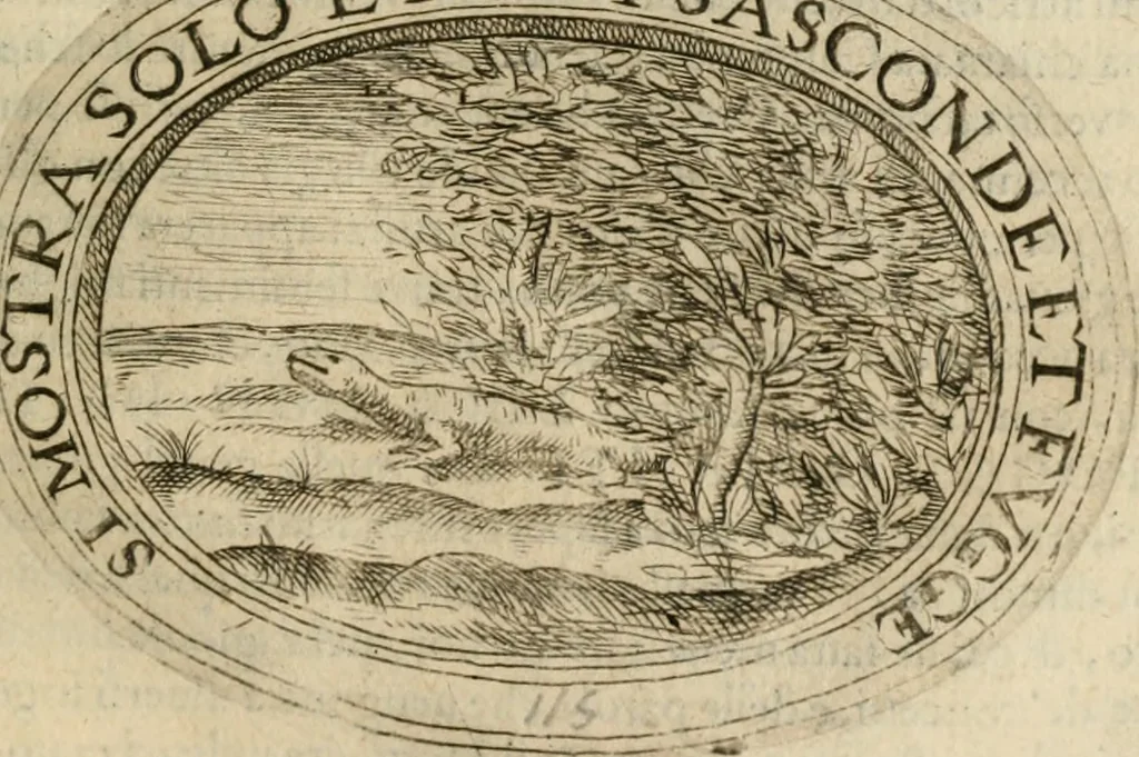 An illustration from Dell'imprese, 1594, leaf 494