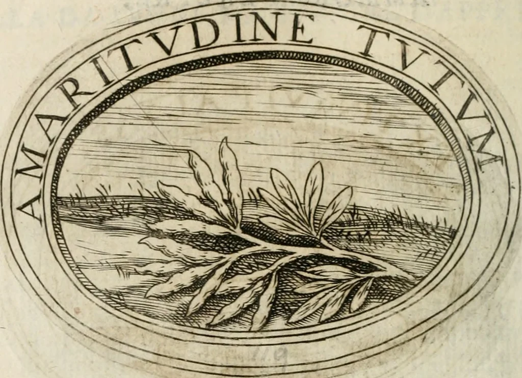 An illustration from Dell'imprese, 1594, leaf 499