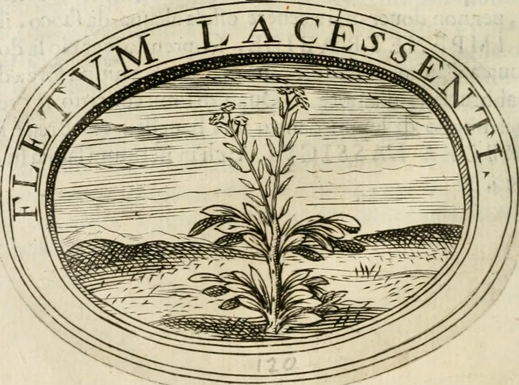 An illustration from Dell'imprese, 1594, leaf 499