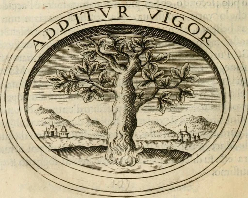 An illustration from Dell'imprese, 1594, leaf 533