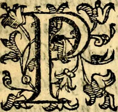 An illustration from Dell'imprese, 1594, leaf 20