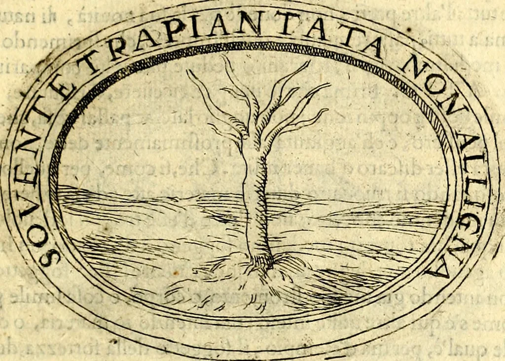 An illustration from Dell'imprese, 1594, leaf 222