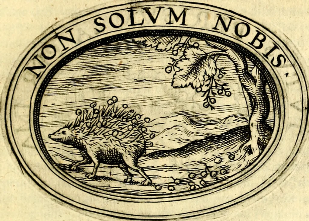 An illustration from Dell'imprese, 1594, leaf 236