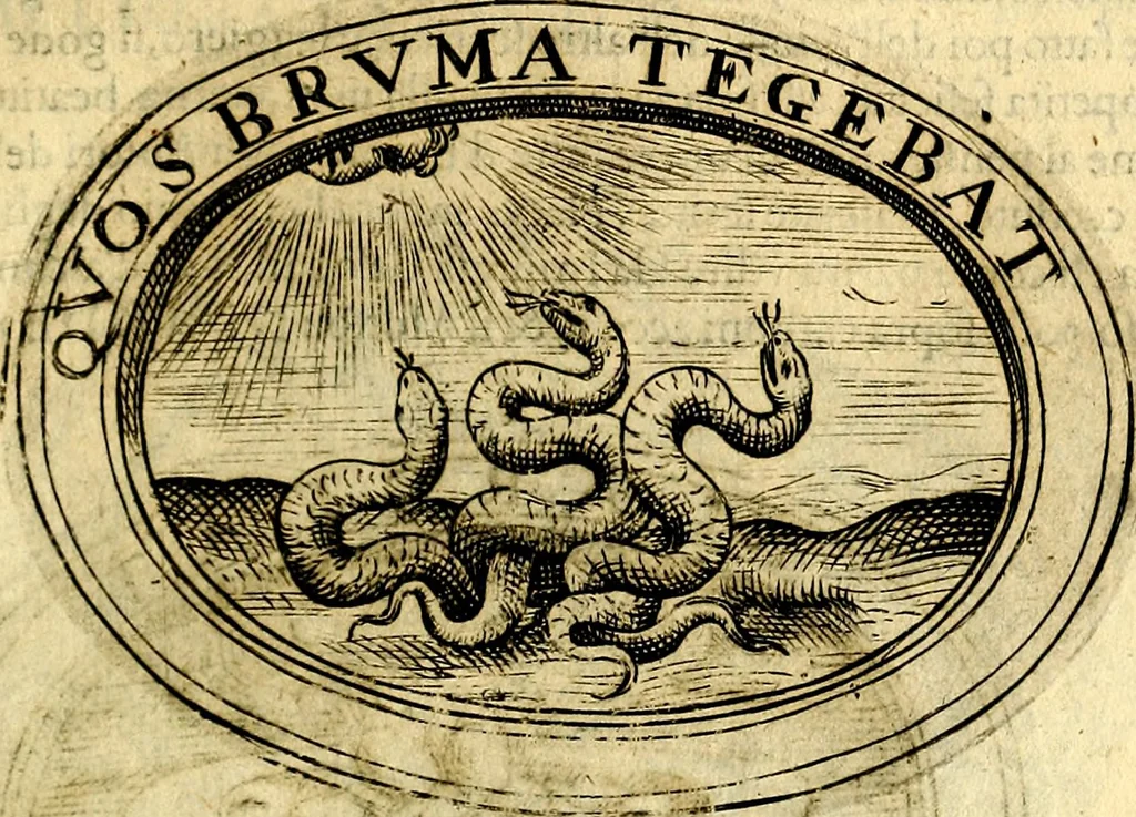 An illustration from Dell'imprese, 1594, leaf 240