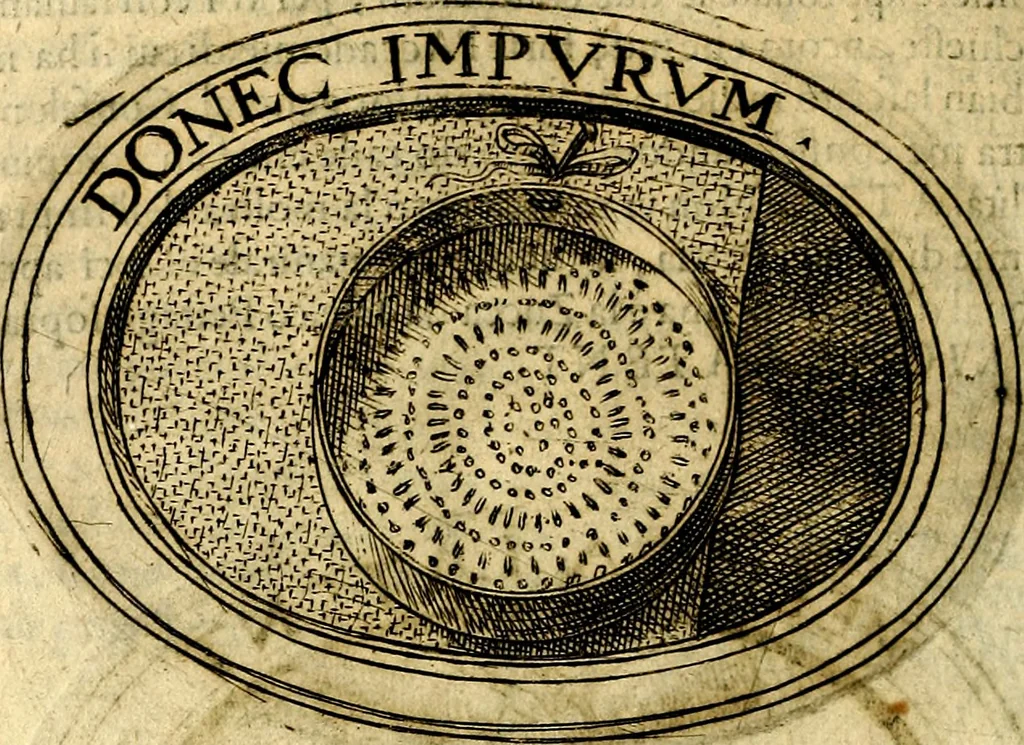 An illustration from Dell'imprese, 1594, leaf 243