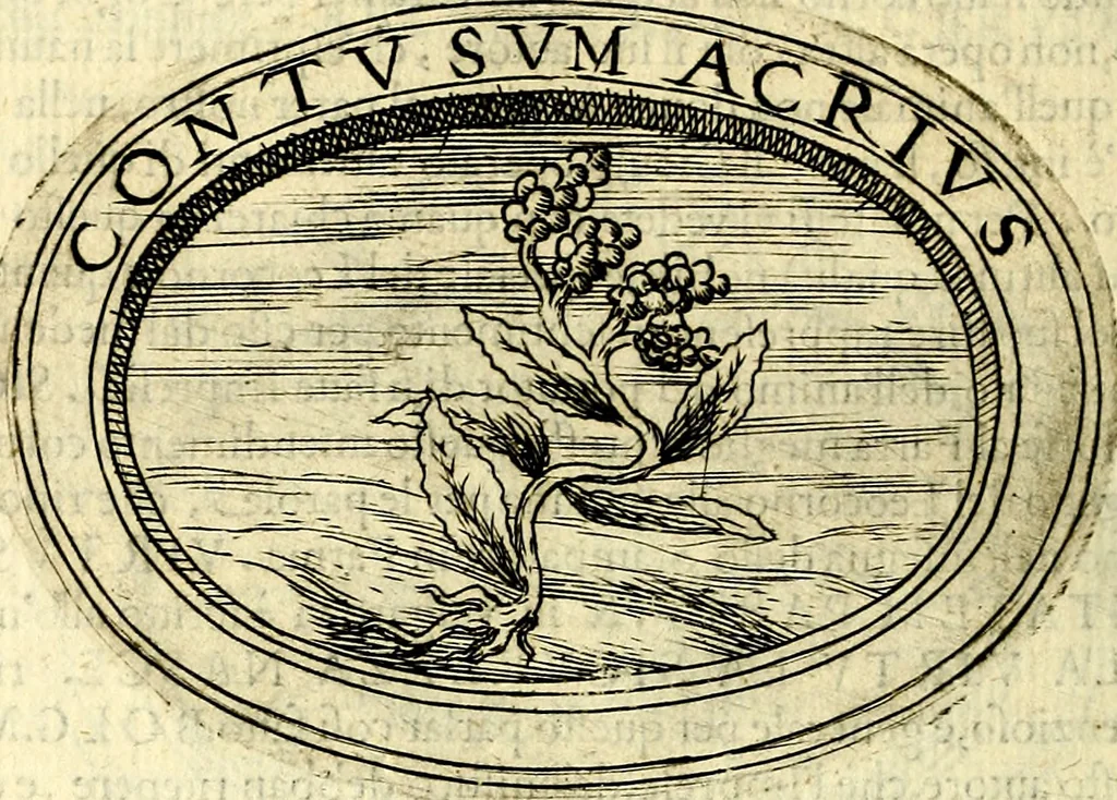 An illustration from Dell'imprese, 1594, leaf 295
