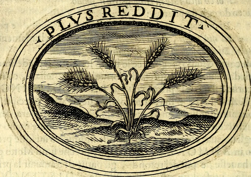 An illustration from Dell'imprese, 1594, leaf 299