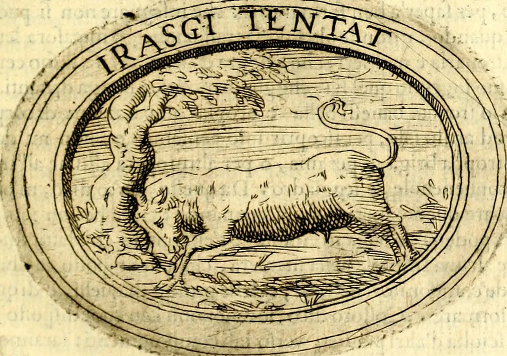 An illustration from Dell'imprese, 1594, leaf 300