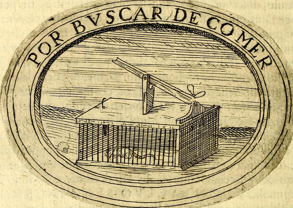 An illustration from Dell'imprese, 1594, leaf 305