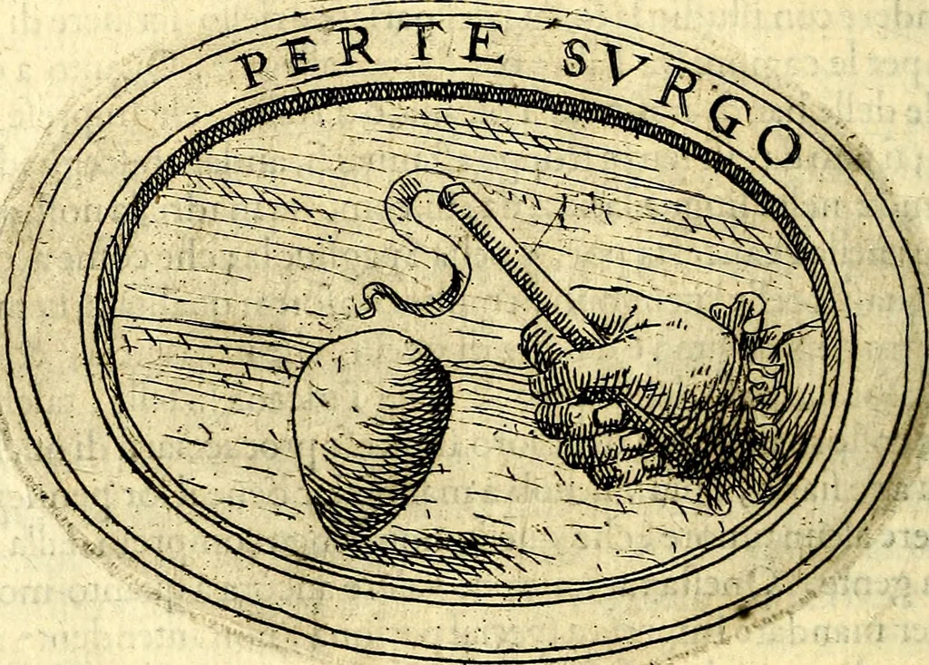 An illustration from Dell'imprese, 1594, leaf 309